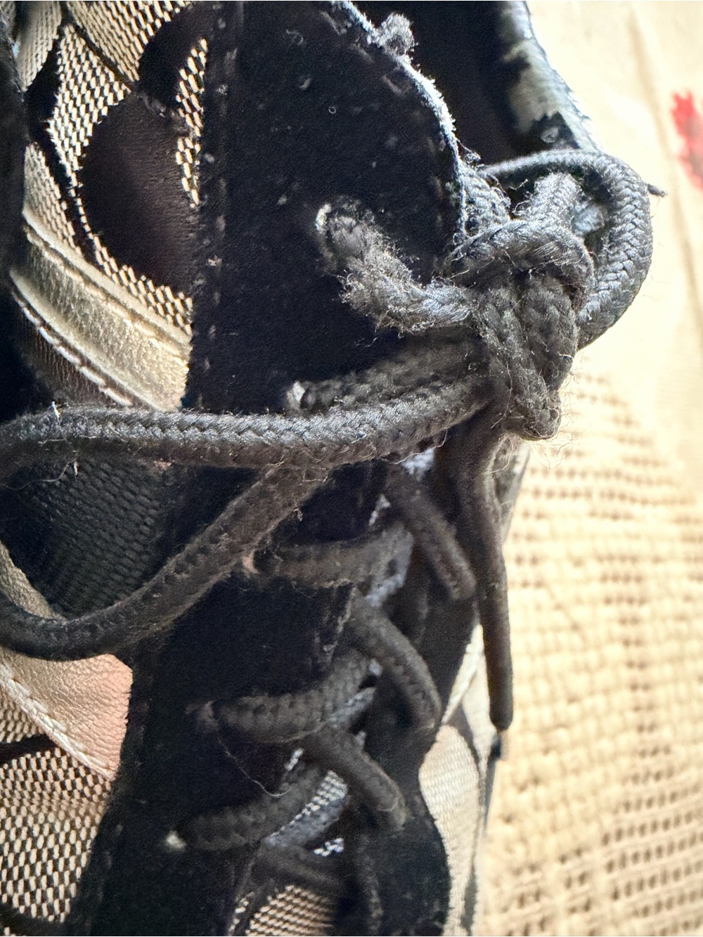 Coach Black and Gray Logo Lace-Up Sneakers - Picture 2 of 8